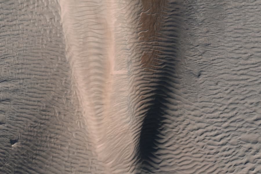 Venus influence
