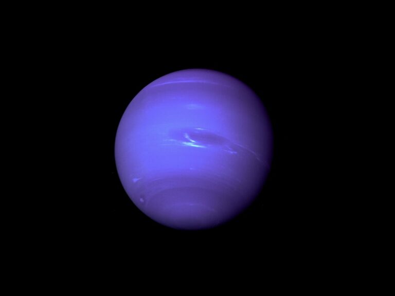 Photo Venus