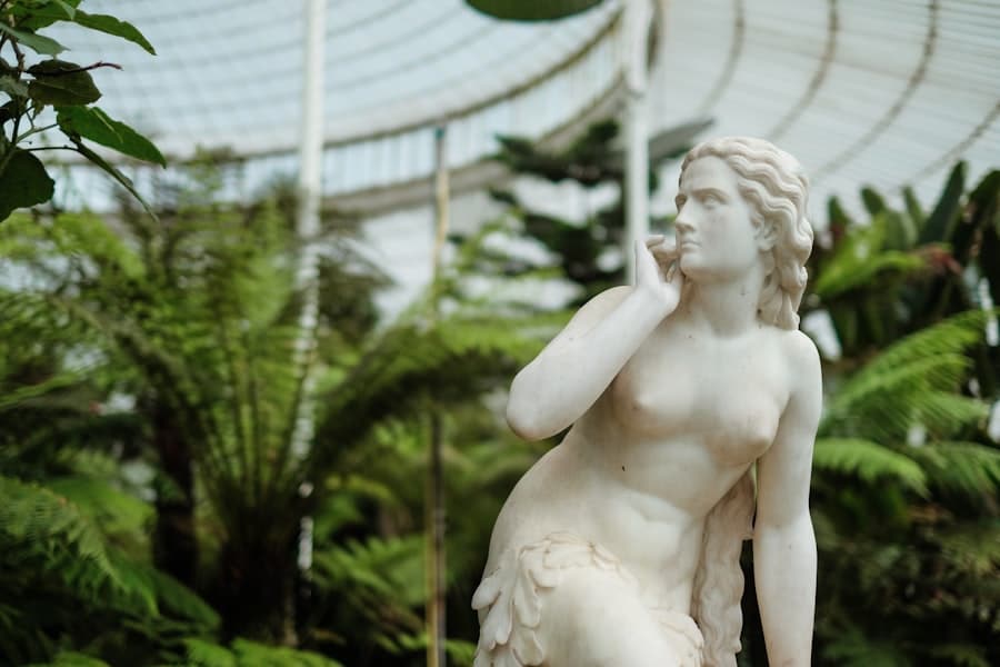 Photo Venus