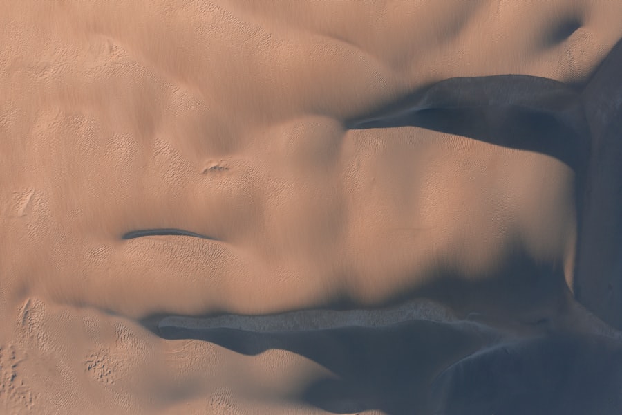 Photo Venus influence