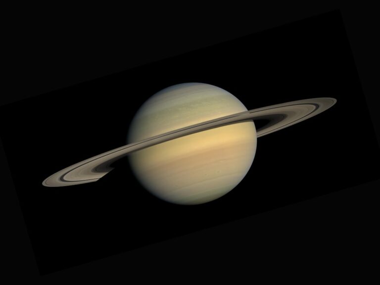 Photo Venus