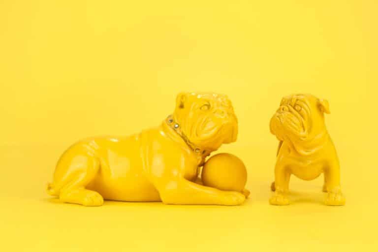 Photo Zodiac compatibility